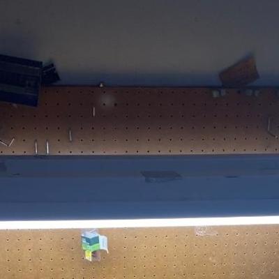 4’ Shop Light