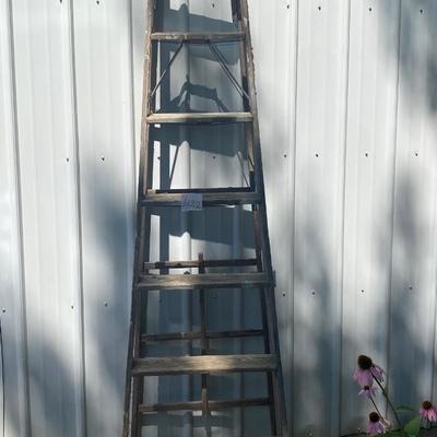 Wooden Ladder