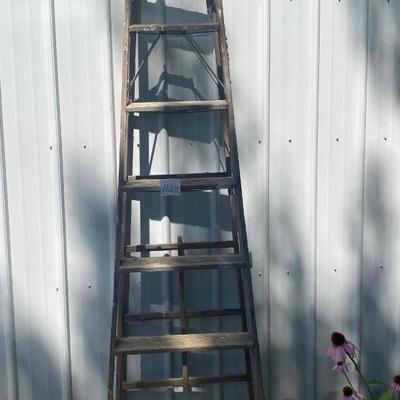 Wooden Ladder