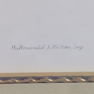 John Gold Eulampis Jucularis Litho
