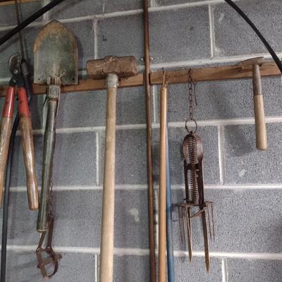 Collection of Garden Hand Tools