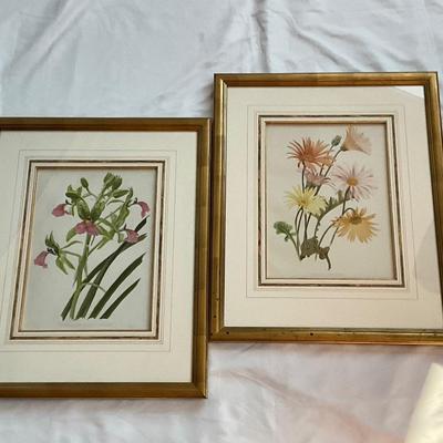 Lot# 176 Pair of Framed Floral Prints