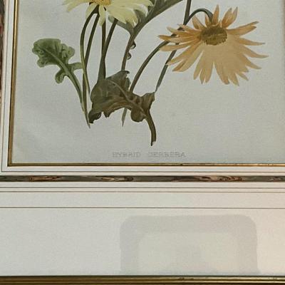 Lot# 176 Pair of Framed Floral Prints