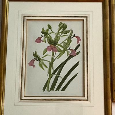 Lot# 176 Pair of Framed Floral Prints