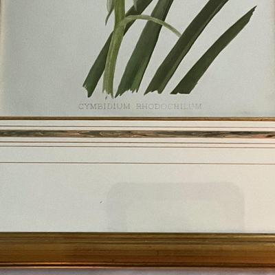 Lot# 176 Pair of Framed Floral Prints