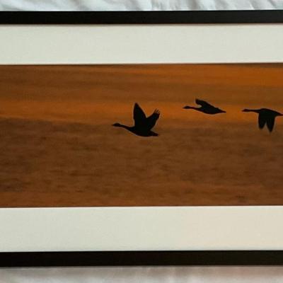 Lot# 162 Framed Geese In Flight