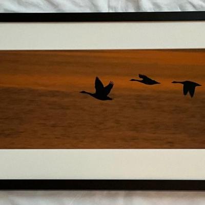 Lot# 162 Framed Geese In Flight
