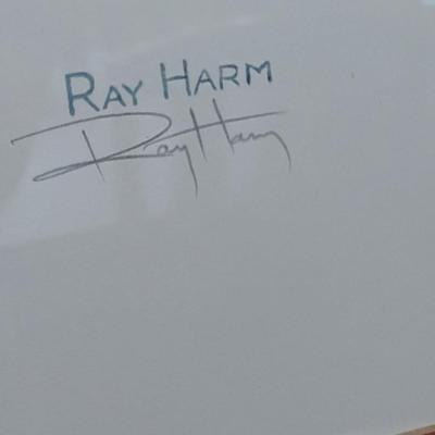 Framed Print Numbered Edition Raccoon by Ray Harm