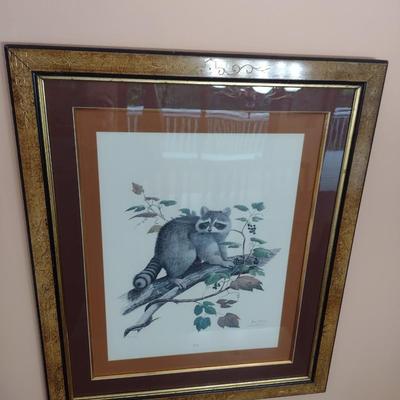 Framed Print Numbered Edition Raccoon by Ray Harm