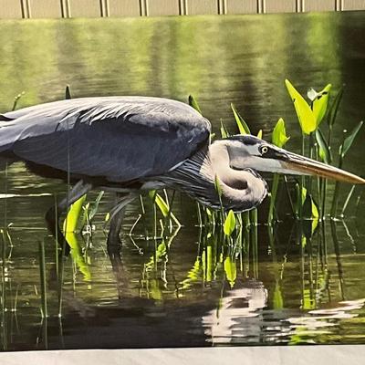 Lot# 166 Hungry Heron Photography on Canvas Signed by Ernie Swanson