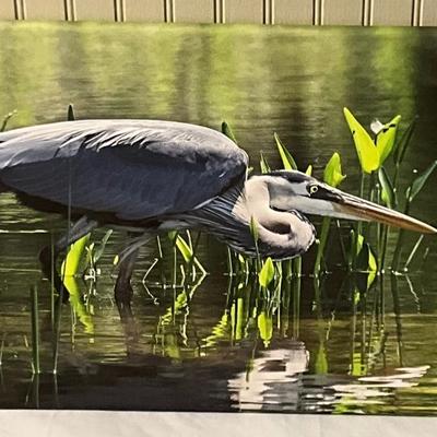 Lot# 166 Hungry Heron Photography on Canvas Signed by Ernie Swanson