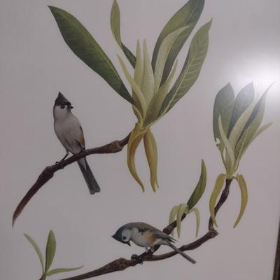 Framed Print Tufted Titmouse by Ray Harm