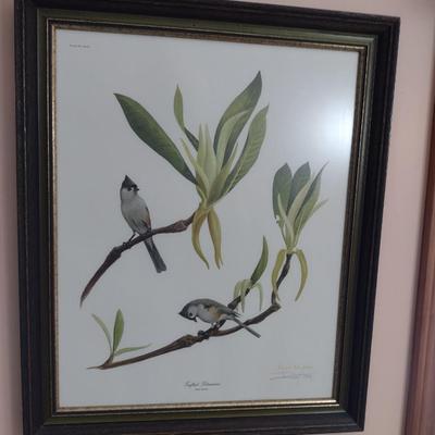Framed Print Tufted Titmouse by Ray Harm