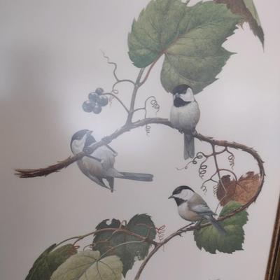 Framed Art Print Black Capped Chickadee by Ray Harm