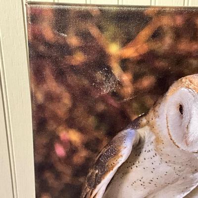 Lot# 167 Signed Barn Owl Photograph on Canvas by Ernie Swanson