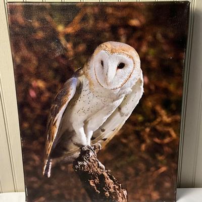 Lot# 167 Signed Barn Owl Photograph on Canvas by Ernie Swanson