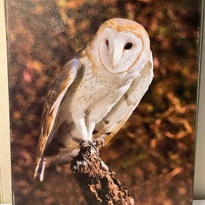 Lot# 167 Signed Barn Owl Photograph on Canvas by Ernie Swanson