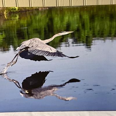 Lot# 168 Ernie Swanson Mirror Image Photograph on Canvas