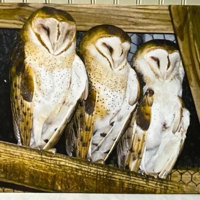 Lot# 169 Ernie Swanson Barn Brothers Photograph on Canvas