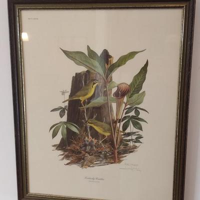 Framed Art Print Kentucky Warbler by Ray Harm