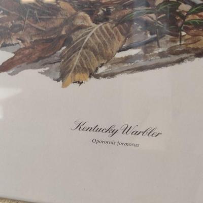 Framed Art Print Kentucky Warbler by Ray Harm