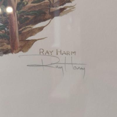 Framed Art Print Kentucky Warbler by Ray Harm