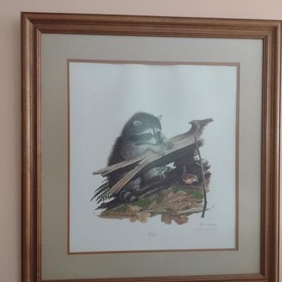 Framed Art Print Raccoon at Log by Ray Harm