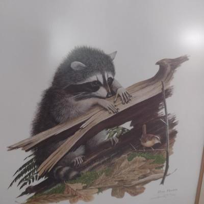 Framed Art Print Raccoon at Log by Ray Harm