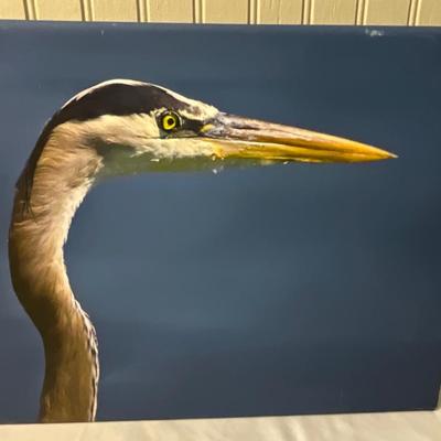 Lot# 170 Heron Profile Photograph on Canvas