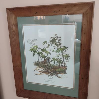 Framed Art Print White Throated Sparrow by Ray Harm