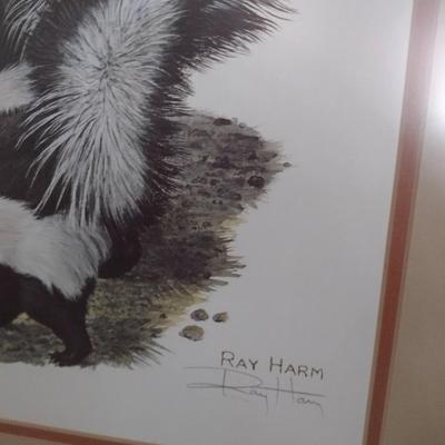 Framed Art Print Striped Skunk by Ray Harm