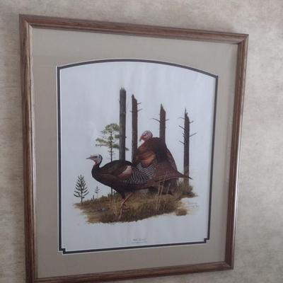 Framed Art Print Wild Turkey by Ray Harm