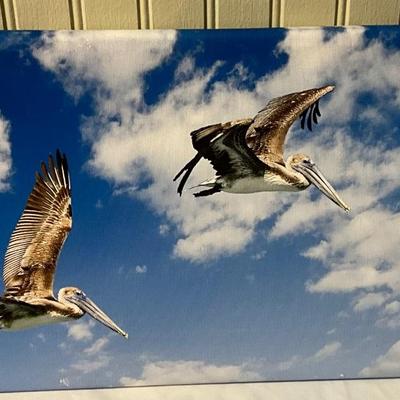 Lot# 173 Pelicans In Flight Photograph on Canvas