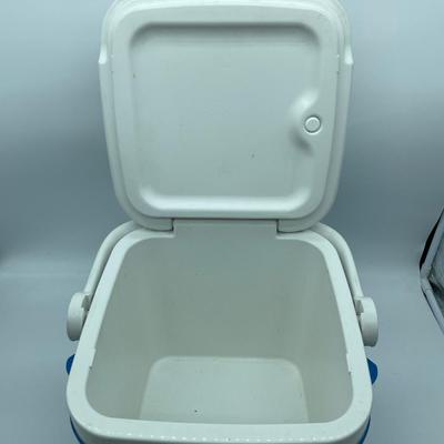 Ice cube cooler