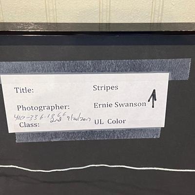 Lot# 156 Framed Ernie Swanson Stripes Photograph