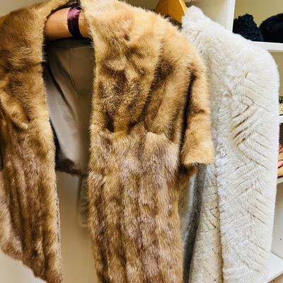 Elegant Ladies Closet
