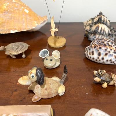 Sea Shell Collection Lot