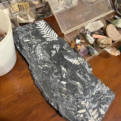 Rock/Mineral/Stone Collection