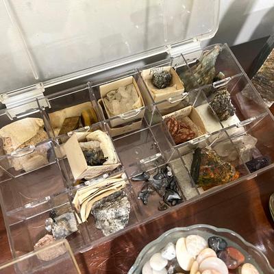Rock/Mineral/Stone Collection