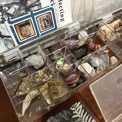 Rock/Mineral/Stone Collection