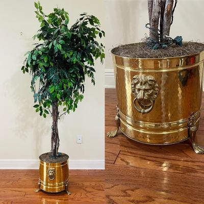 Over 6 1/2 Feet Tall Tree & Vintage Brass Footed Planter