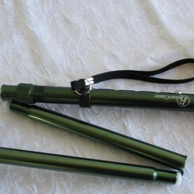 Green walking cane free standing