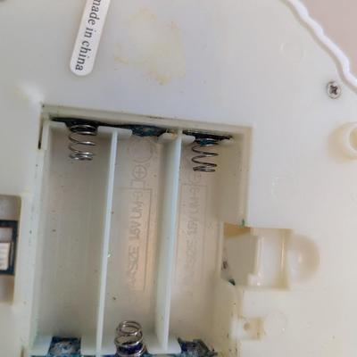 Kirkland Color Changing Lights