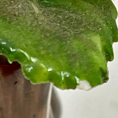 Vintage Petite Porcelain Adderley Floral Bone China Flower Bouquet Made In England Pink Yellow Tree