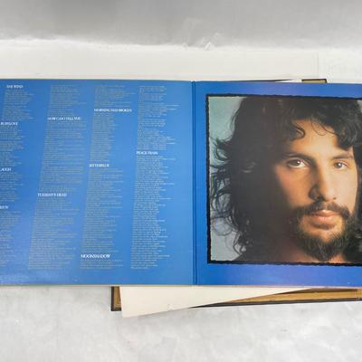 Cat Stevens - The Year of the Cat - Framed vintage vinyl ablum