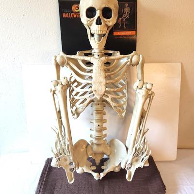 Lot #21 Halloween Jointed Skeleton Decoration - new on card