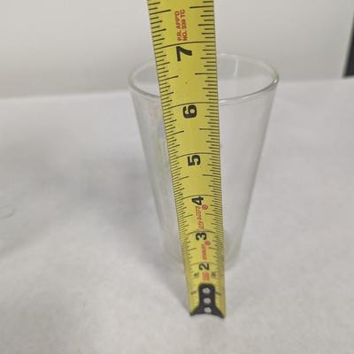 Sierra Nevada Pint Glasses