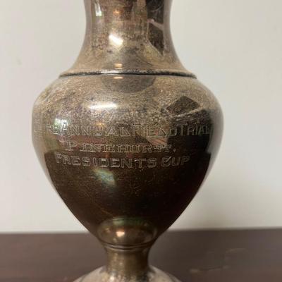 sterling silver field trial award cup