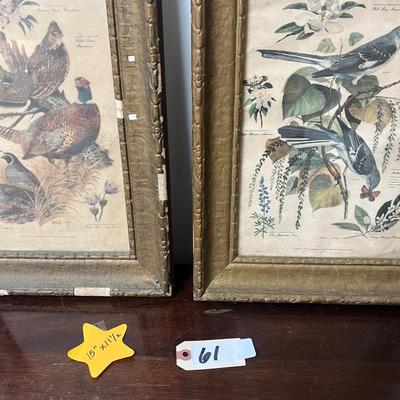pr of antique framed bird prints