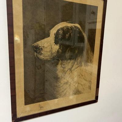 john m tracy retriever dog portrait framed canvas